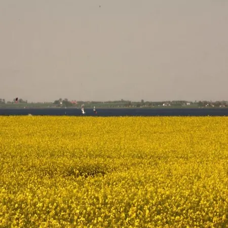 Idyllisches Mit Ueberdachter Terrasse Дом отдыха
