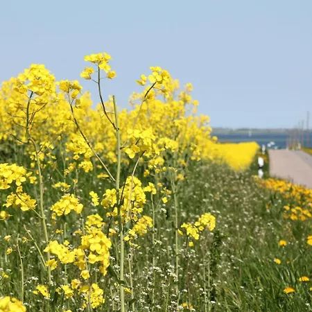 Idyllisches Mit Ueberdachter Terrasse Дом отдыха