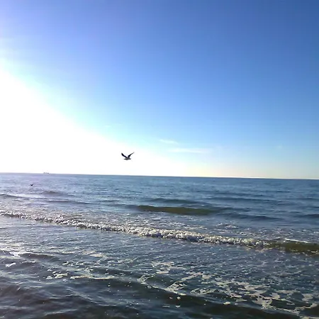 Дом отдыха Idyllisches Mit Ueberdachter Terrasse *